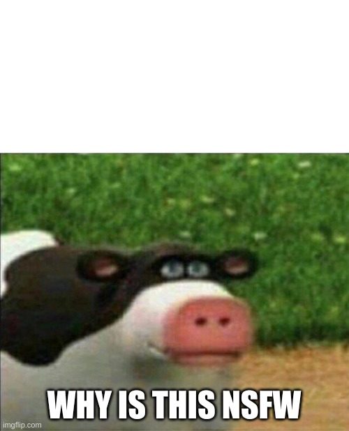 Perhaps cow | WHY IS THIS NSFW | image tagged in perhaps cow | made w/ Imgflip meme maker