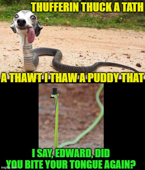 THUFFERIN THUCK A TATH A THAWT I THAW A PUDDY THAT I SAY, EDWARD, DID YOU BITE YOUR TONGUE AGAIN? | made w/ Imgflip meme maker