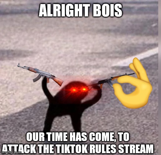 Cursed Cat | ALRIGHT BOIS; OUR TIME HAS COME, TO ATTACK THE TIKTOK RULES STREAM | image tagged in cursed cat | made w/ Imgflip meme maker