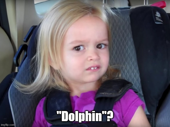 Huh? | "Dolphin"? | image tagged in huh | made w/ Imgflip meme maker