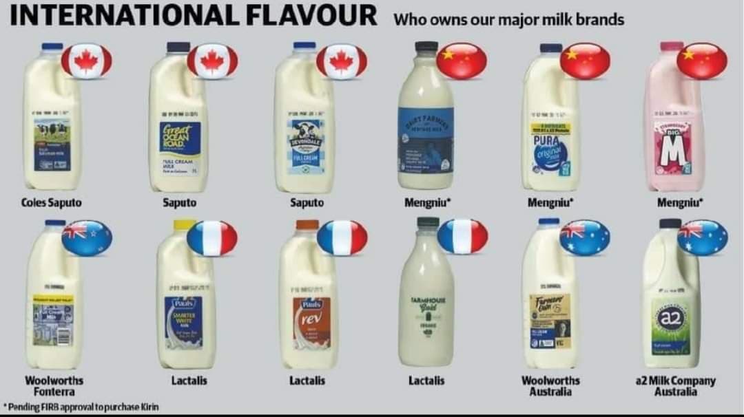 Racist Milk Blank Meme Template