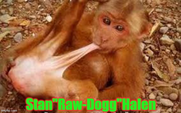 Stan"Raw-Dogg"Halen | made w/ Imgflip meme maker