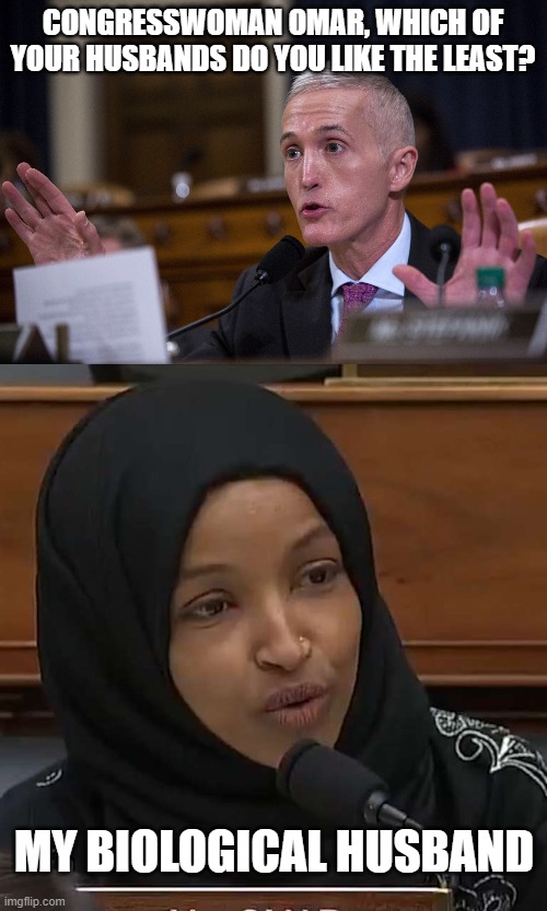CONGRESSWOMAN OMAR, WHICH OF YOUR HUSBANDS DO YOU LIKE THE LEAST? MY BIOLOGICAL HUSBAND | image tagged in ilhan omar,trey gowdy | made w/ Imgflip meme maker