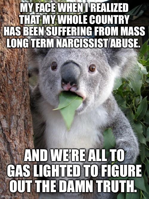Surprised Koala Meme | MY FACE WHEN I REALIZED THAT MY WHOLE COUNTRY HAS BEEN SUFFERING FROM MASS LONG TERM NARCISSIST ABUSE. AND WE’RE ALL TO GAS LIGHTED TO FIGURE OUT THE DAMN TRUTH. | image tagged in memes,surprised koala | made w/ Imgflip meme maker