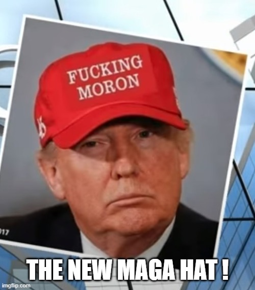 Man Offering Repeat Of Nonsense - MORON | THE NEW MAGA HAT ! | image tagged in trump is a moron | made w/ Imgflip meme maker