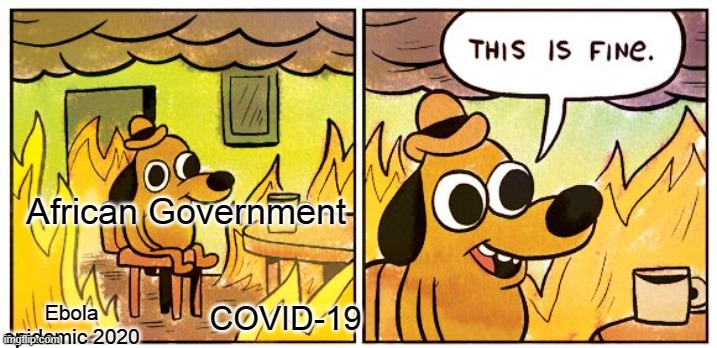 This Is Fine | African Government; COVID-19; Ebola epidemic 2020 | image tagged in memes,this is fine,africa | made w/ Imgflip meme maker