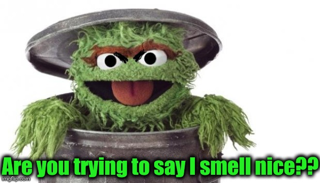 Oscar trashcan Sesame street | Are you trying to say I smell nice?? | image tagged in oscar trashcan sesame street | made w/ Imgflip meme maker