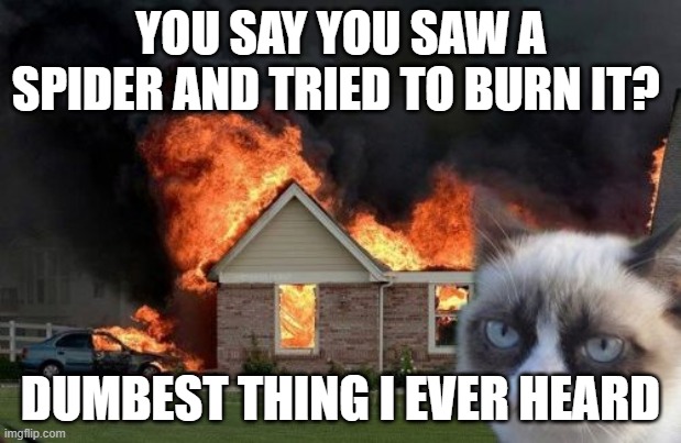 Burn Kitty | YOU SAY YOU SAW A SPIDER AND TRIED TO BURN IT? DUMBEST THING I EVER HEARD | image tagged in memes,burn kitty,grumpy cat | made w/ Imgflip meme maker