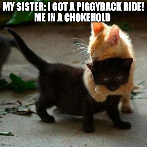 Yes | MY SISTER: I GOT A PIGGYBACK RIDE!
ME IN A CHOKEHOLD | image tagged in cat choke hold | made w/ Imgflip meme maker