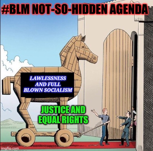 Trojan Horse | #BLM NOT-SO-HIDDEN AGENDA; LAWLESSNESS AND FULL BLOWN SOCIALISM; JUSTICE AND EQUAL RIGHTS | image tagged in trojan horse | made w/ Imgflip meme maker