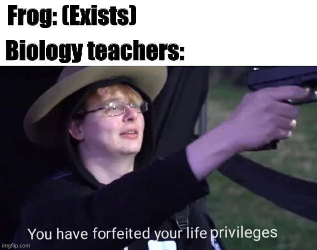 you have forfeited life privileges | Biology teachers:; Frog: (Exists) | image tagged in you have forfeited life privileges | made w/ Imgflip meme maker