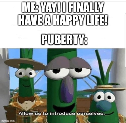 Allow us to introduce ourselves | ME: YAY! I FINALLY HAVE A HAPPY LIFE! PUBERTY: | image tagged in allow us to introduce ourselves | made w/ Imgflip meme maker