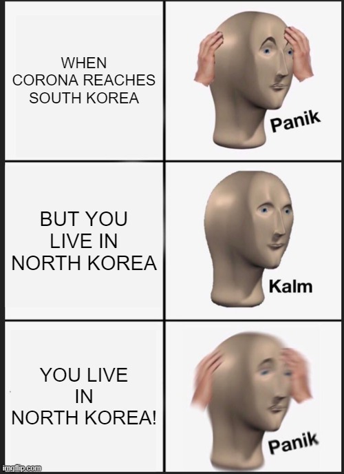 Panicking | WHEN CORONA REACHES SOUTH KOREA; BUT YOU LIVE IN NORTH KOREA; YOU LIVE IN NORTH KOREA! | image tagged in memes,panik kalm panik | made w/ Imgflip meme maker