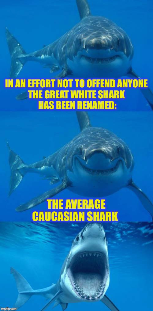 The times, they are a changing... | IN AN EFFORT NOT TO OFFEND ANYONE

THE GREAT WHITE SHARK
 HAS BEEN RENAMED:; THE AVERAGE CAUCASIAN SHARK | image tagged in bad shark pun,political correctness | made w/ Imgflip meme maker