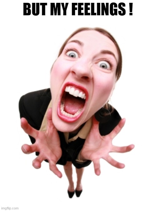 Screaming woman | BUT MY FEELINGS ! | image tagged in screaming woman | made w/ Imgflip meme maker