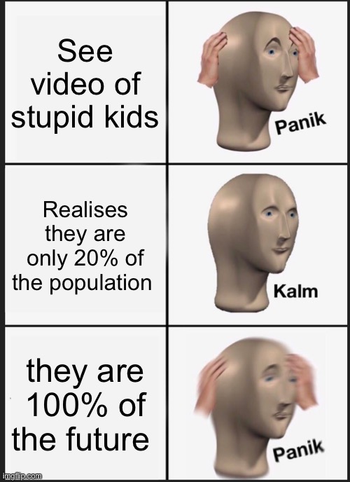 Panik Kalm Panik | See video of stupid kids; Realises they are only 20% of the population; they are 100% of the future | image tagged in memes,panik kalm panik | made w/ Imgflip meme maker