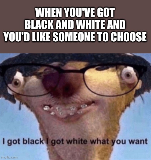 I got black I got white what ya want | WHEN YOU'VE GOT BLACK AND WHITE AND YOU'D LIKE SOMEONE TO CHOOSE | image tagged in i got black i got white what ya want | made w/ Imgflip meme maker