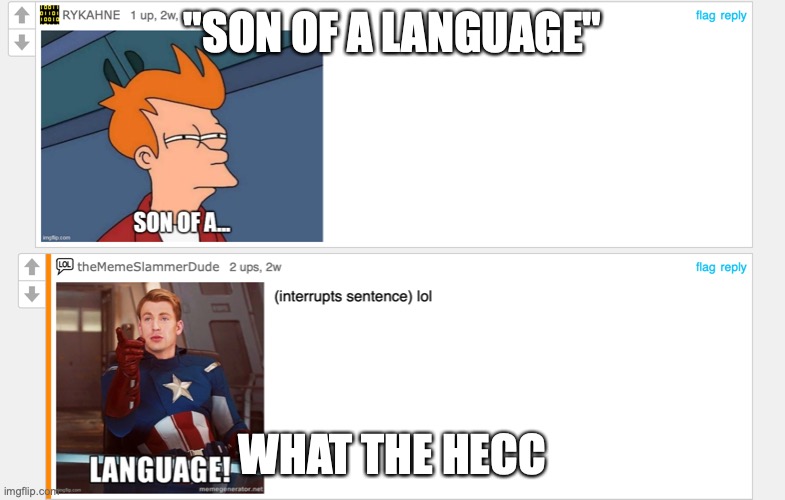 son of a language | "SON OF A LANGUAGE"; WHAT THE HECC | image tagged in sdfgh | made w/ Imgflip meme maker