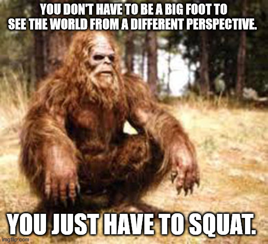bigfoot | YOU DON'T HAVE TO BE A BIG FOOT TO SEE THE WORLD FROM A DIFFERENT PERSPECTIVE. YOU JUST HAVE TO SQUAT. | image tagged in bigfoot | made w/ Imgflip meme maker