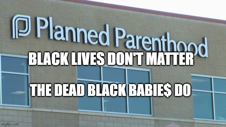planned abortionhood | BLACK LIVES DON'T MATTER; THE DEAD BLACK BABIE$ DO | image tagged in planned abortionhood | made w/ Imgflip meme maker