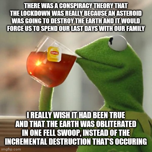 But That's None Of My Business | THERE WAS A CONSPIRACY THEORY THAT THE LOCKDOWN WAS REALLY BECAUSE AN ASTEROID WAS GOING TO DESTROY THE EARTH AND IT WOULD FORCE US TO SPEND OUR LAST DAYS WITH OUR FAMILY; I REALLY WISH IT HAD BEEN TRUE AND THAT THE EARTH WAS OBLITERATED IN ONE FELL SWOOP, INSTEAD OF THE INCREMENTAL DESTRUCTION THAT'S OCCURING | image tagged in memes,but that's none of my business,kermit the frog | made w/ Imgflip meme maker