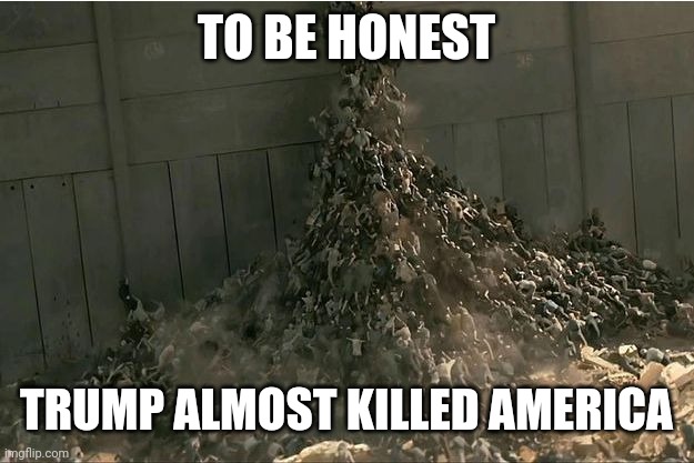 WWZ | TO BE HONEST TRUMP ALMOST KILLED AMERICA | image tagged in wwz | made w/ Imgflip meme maker