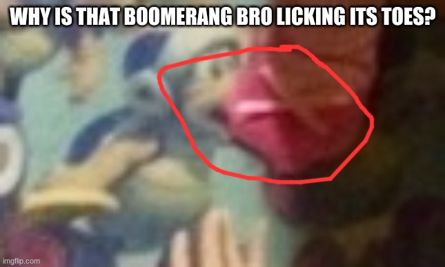WHY IS THAT BOOMERANG BRO LICKING ITS TOES? | made w/ Imgflip meme maker