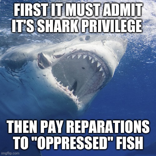 FIRST IT MUST ADMIT IT'S SHARK PRIVILEGE THEN PAY REPARATIONS TO "OPPRESSED" FISH | made w/ Imgflip meme maker