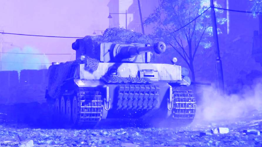 Tiger 237 | image tagged in tiger 237 | made w/ Imgflip meme maker