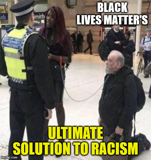 BLACK LIVES MATTER'S; ULTIMATE SOLUTION TO RACISM | image tagged in black lives matter,racism,black woman,white man,police officer | made w/ Imgflip meme maker