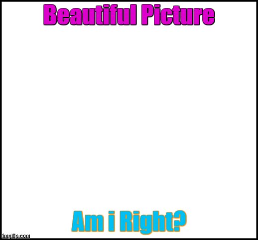 blank | Beautiful Picture; Am i Right? | image tagged in blank | made w/ Imgflip meme maker
