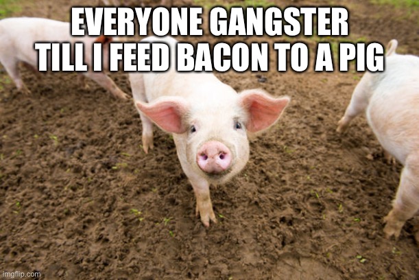 Bacon | EVERYONE GANGSTER TILL I FEED BACON TO A PIG | image tagged in bacon early stages | made w/ Imgflip meme maker