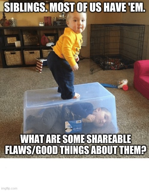 UUGGGGGGHHHHHH | SIBLINGS. MOST OF US HAVE 'EM. WHAT ARE SOME SHAREABLE FLAWS/GOOD THINGS ABOUT THEM? | image tagged in stop your sibling | made w/ Imgflip meme maker