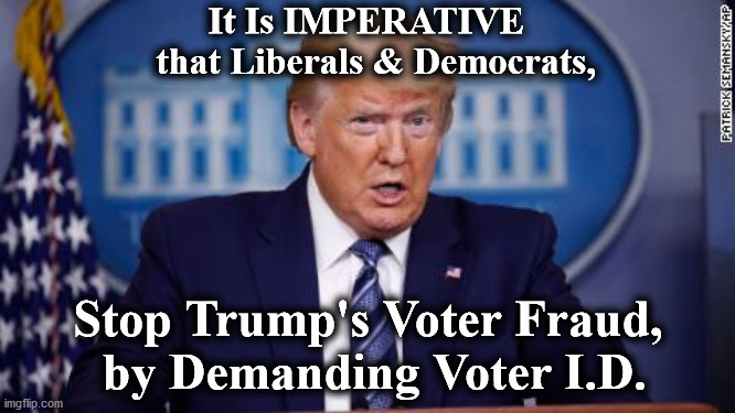 trump | It Is IMPERATIVE  
 that Liberals & Democrats, Stop Trump's Voter Fraud,
 by Demanding Voter I.D. | image tagged in trump | made w/ Imgflip meme maker