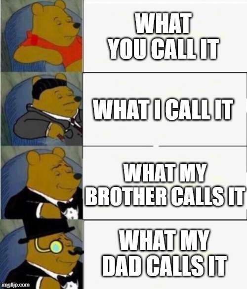 Throught the Ages | WHAT YOU CALL IT; WHAT I CALL IT; WHAT MY BROTHER CALLS IT; WHAT MY DAD CALLS IT | image tagged in tuxedo winnie the pooh 4 panel | made w/ Imgflip meme maker