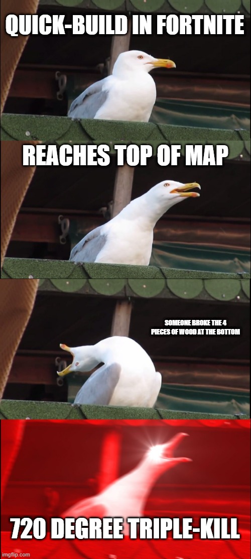 Inhaling Seagull | QUICK-BUILD IN FORTNITE; REACHES TOP OF MAP; SOMEONE BROKE THE 4 PIECES OF WOOD AT THE BOTTOM; 720 DEGREE TRIPLE-KILL | image tagged in memes,inhaling seagull | made w/ Imgflip meme maker
