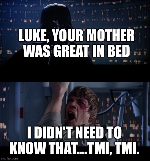 Star Wars No Meme | LUKE, YOUR MOTHER WAS GREAT IN BED; I DIDN’T NEED TO KNOW THAT....TMI, TMI. | image tagged in memes,star wars no | made w/ Imgflip meme maker