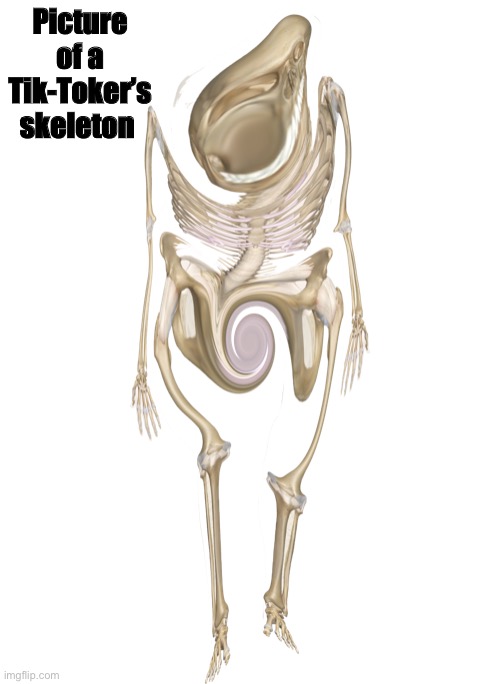 Picture of a Tik-Toker’s skeleton | made w/ Imgflip meme maker