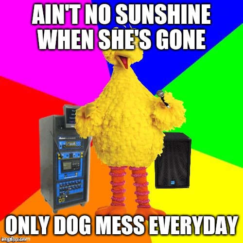 Sorry, Bill Withers | AIN'T NO SUNSHINE WHEN SHE'S GONE; ONLY DOG MESS EVERYDAY | image tagged in wrong lyrics karaoke big bird,misheard lyrics,really bad | made w/ Imgflip meme maker