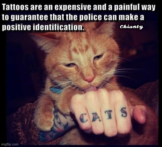 Tattoo's | 𝓒𝓱𝓲𝓪𝓷𝓽𝔂 | image tagged in i guarantee it | made w/ Imgflip meme maker