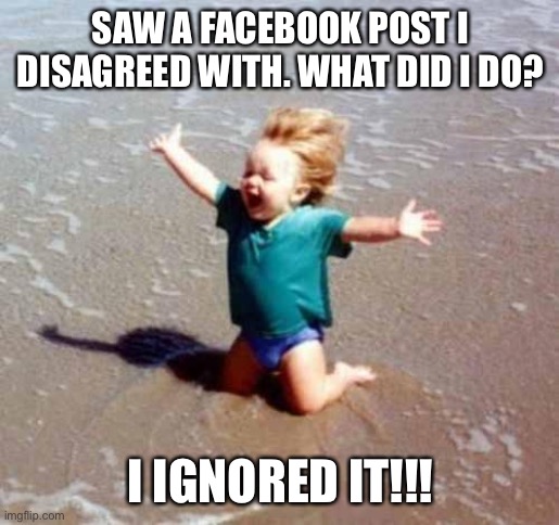 Ignored facebook | SAW A FACEBOOK POST I DISAGREED WITH. WHAT DID I DO? I IGNORED IT!!! | image tagged in celebration,ignore post | made w/ Imgflip meme maker