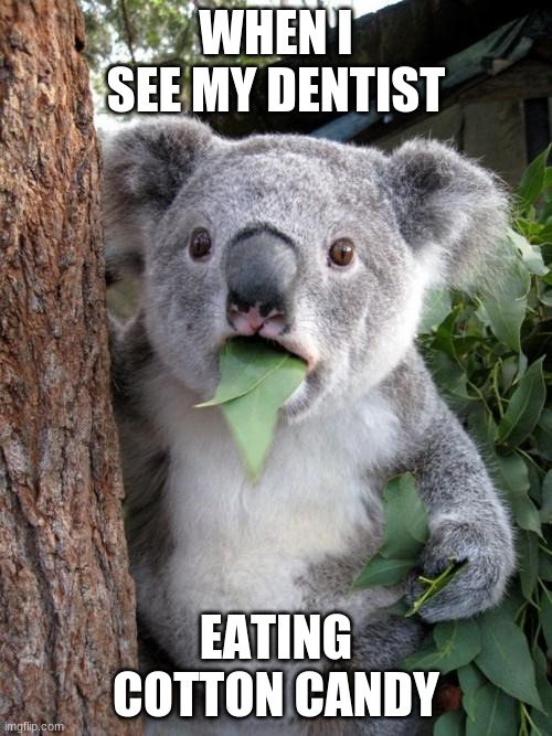 Dr. Gumpoker picked the wrong time to go to the county fair. |  WHEN I SEE MY DENTIST; EATING COTTON CANDY | image tagged in memes,surprised koala,dentist,cotton candy,irony,not a true story | made w/ Imgflip meme maker
