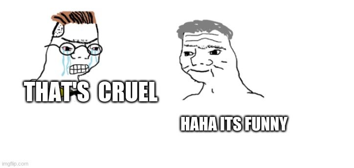 THAT'S  CRUEL HAHA ITS FUNNY | image tagged in nooo haha go brrr | made w/ Imgflip meme maker