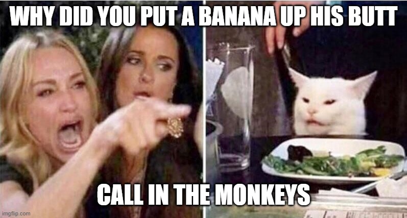 Crying girls and Cat | WHY DID YOU PUT A BANANA UP HIS BUTT; CALL IN THE MONKEYS | image tagged in crying girls and cat | made w/ Imgflip meme maker