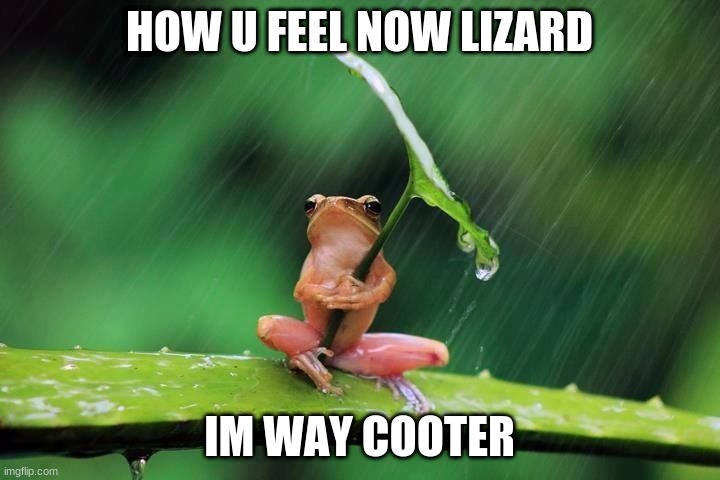 he is tho | HOW U FEEL NOW LIZARD; IM WAY COOTER | image tagged in frog with umbrella | made w/ Imgflip meme maker