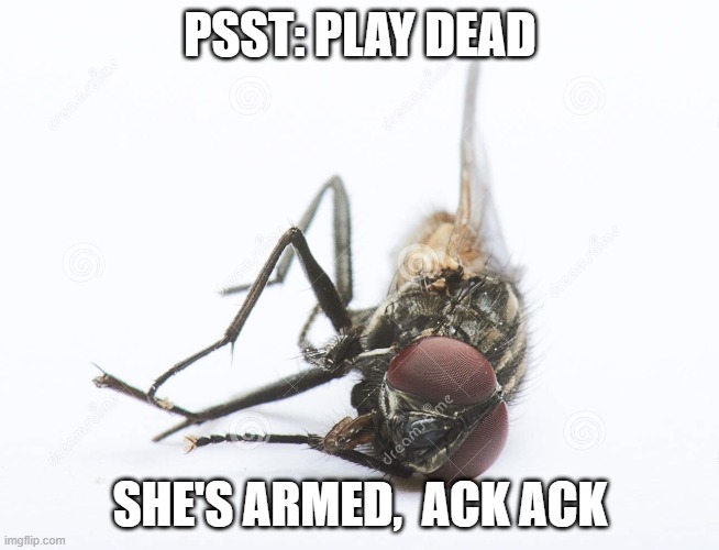 French fly | PSST: PLAY DEAD; SHE'S ARMED,  ACK ACK | image tagged in french fly | made w/ Imgflip meme maker
