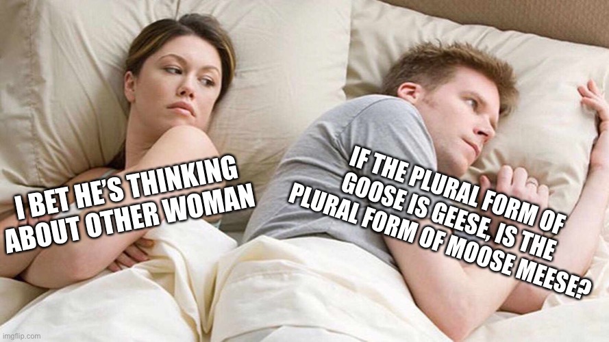 I Bet He's Thinking About Other Women | IF THE PLURAL FORM OF GOOSE IS GEESE, IS THE PLURAL FORM OF MOOSE MEESE? I BET HE’S THINKING ABOUT OTHER WOMAN | image tagged in i bet he's thinking about other women | made w/ Imgflip meme maker