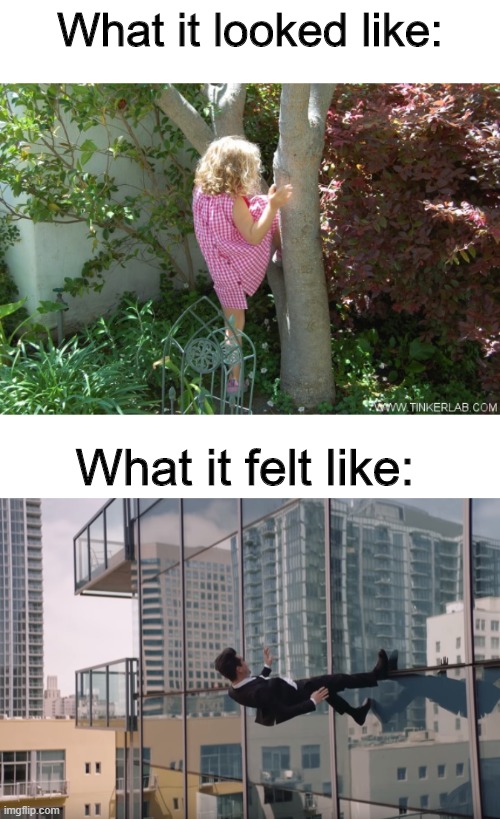 Climbing Trees be like | What it looked like:; What it felt like: | image tagged in trees,childhood | made w/ Imgflip meme maker