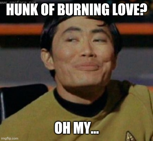 sulu | HUNK OF BURNING LOVE? OH MY... | image tagged in sulu | made w/ Imgflip meme maker