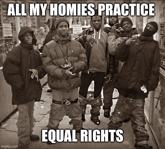 All My Homies Hate | ALL MY HOMIES PRACTICE; EQUAL RIGHTS | image tagged in all my homies hate | made w/ Imgflip meme maker